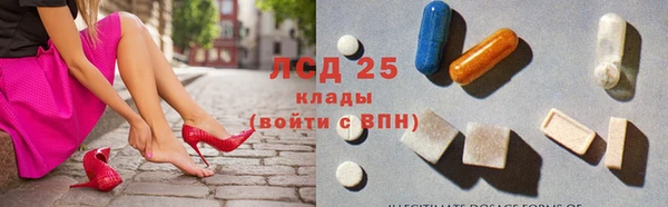 спиды Магас