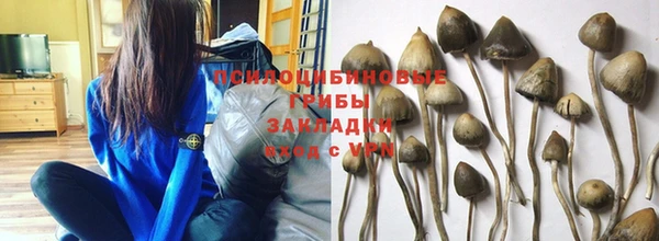 2c-b Липки