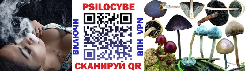 Псилоцибиновые грибы мицелий  наркотики  Бийск 