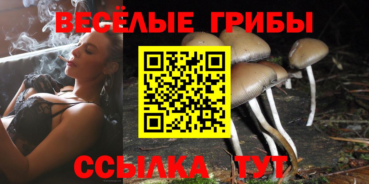 ТГК  МЕФ кристаллы  Альфа ПВП СК кристаллы  Бийск  MDMA  Лсд 25  Где купить наркотики?  Бошки Шишки  Вход с VPN  COCAIN 