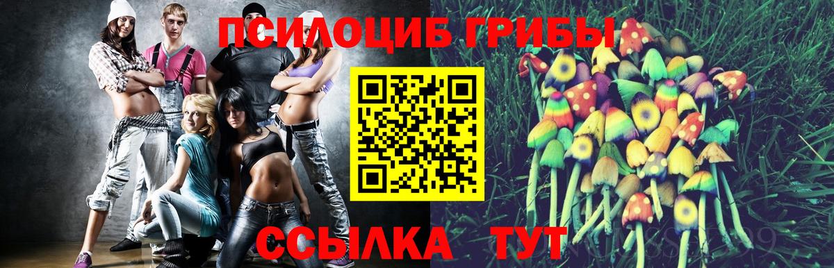Галлюциногенные грибы мухоморы Бийск