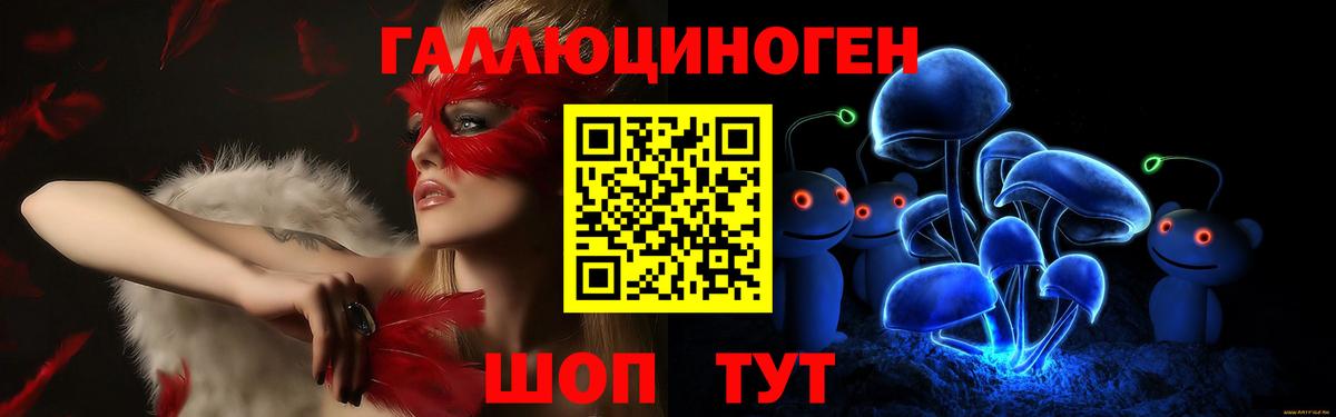 Галлюциногенные грибы Cubensis  закладка  Псилоцибиновые грибы Cubensis  Бийск 